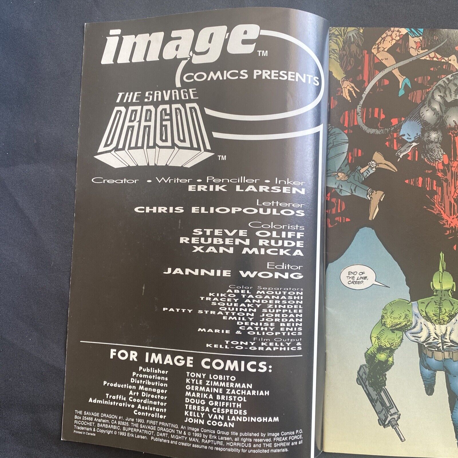 COMIC  - IMAGE Comics - THE SAVAGE DRAGON June 1993 - (8757)