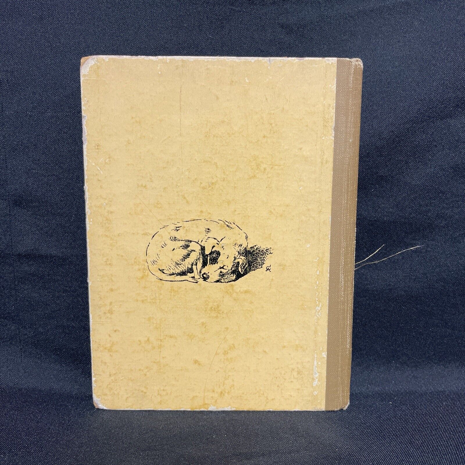 BOOK - A DOG DAY by Walter Emanuel 1930 ed - (9257)