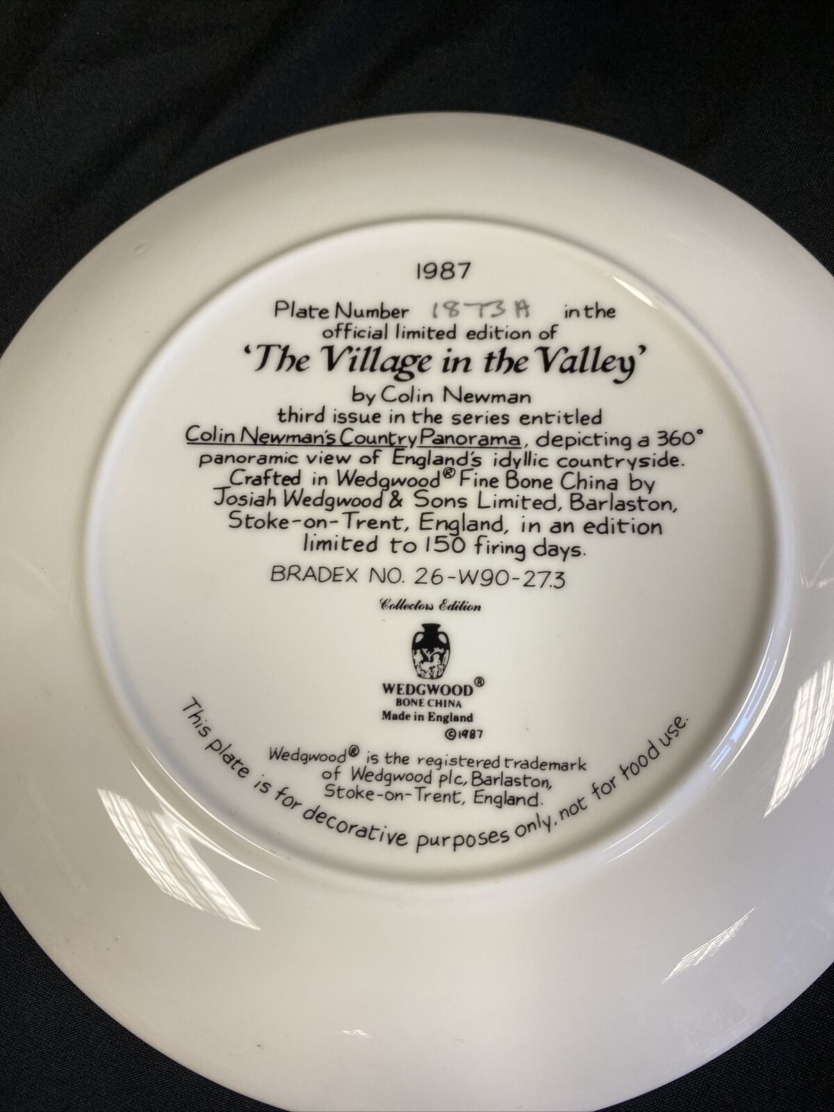 Wedgwood 1988 Collector plates x2 Meandering Stream + Village in Valley (7827