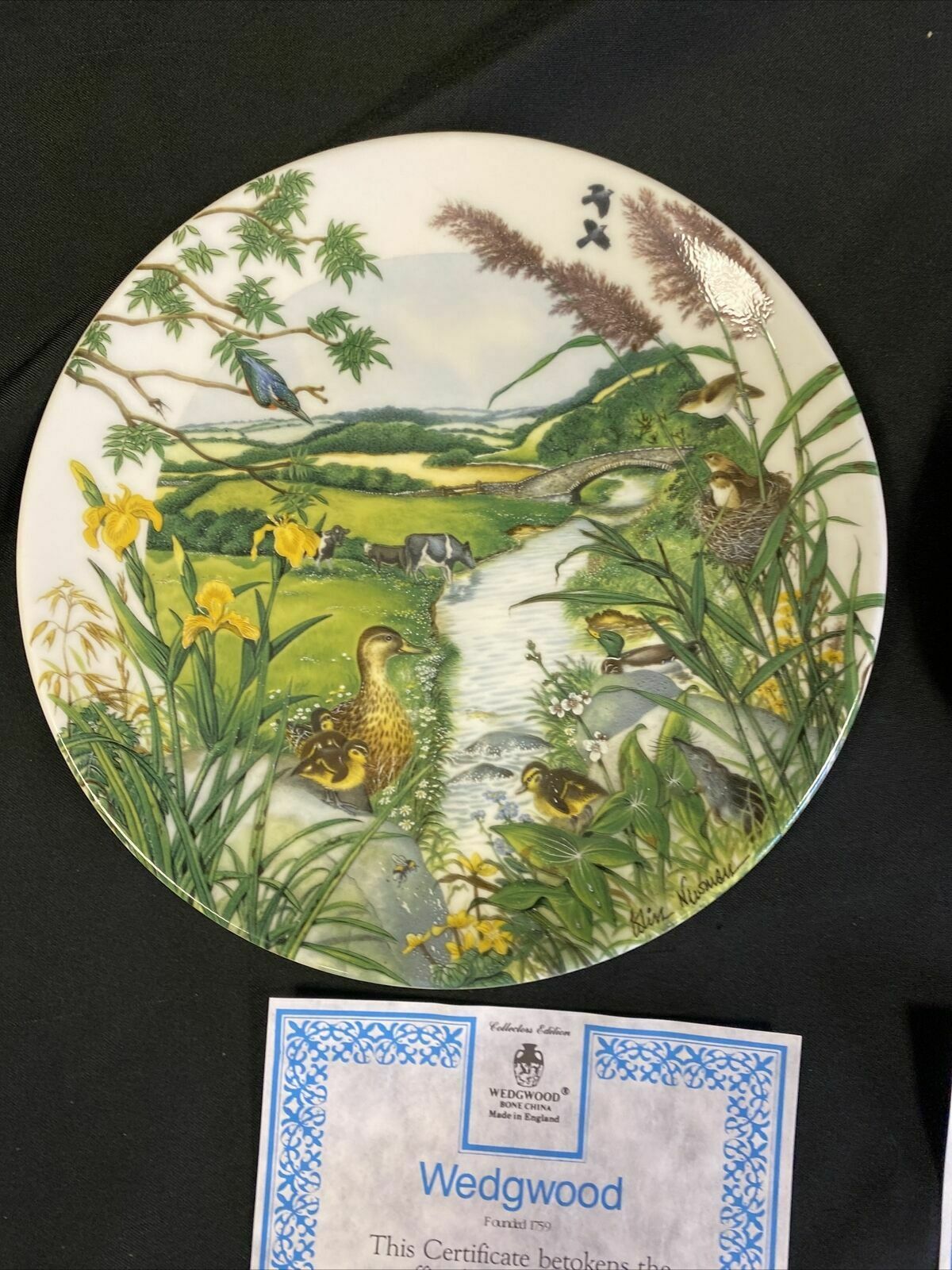Wedgwood 1988 Collector plates x2 Meandering Stream + Village in Valley (7827