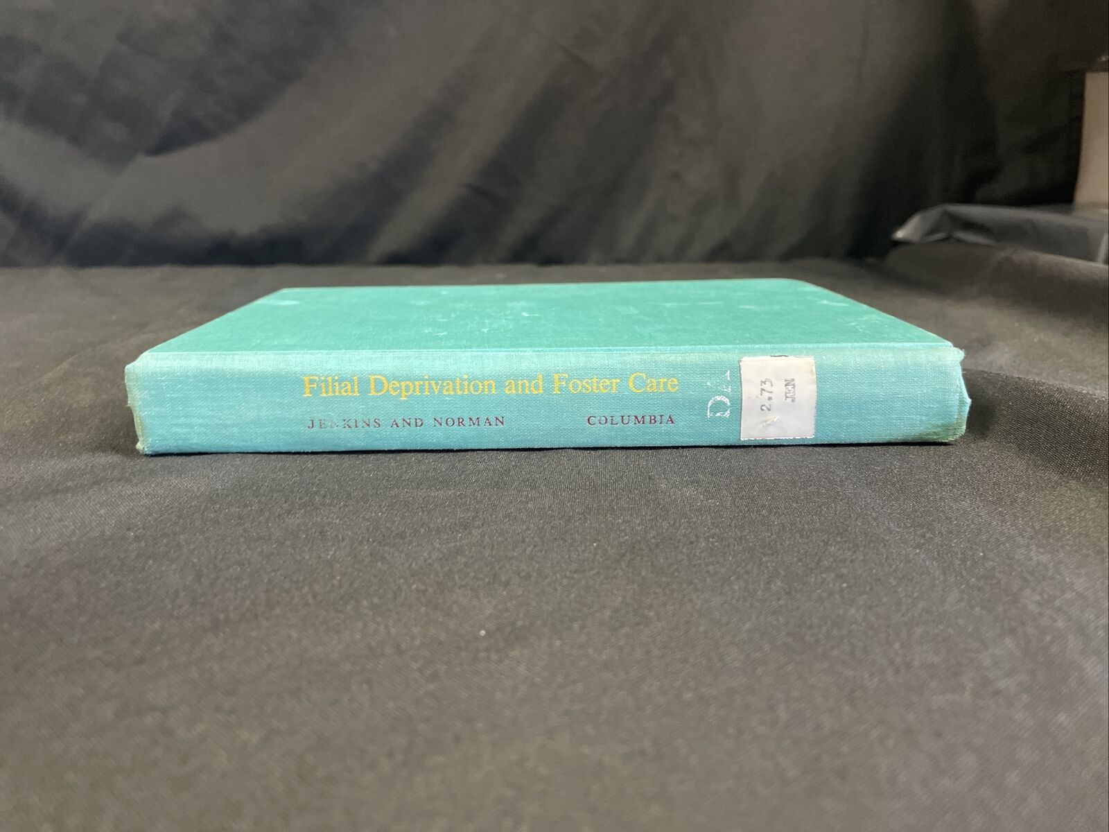 BOOK - Filial Deprication and Foster Care - Jenkins and Norman HB -(8190)