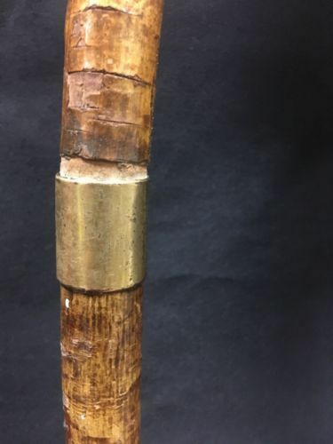 Antique Victorian Wood Walking stick horn tip gold filled collar knob end -(6619