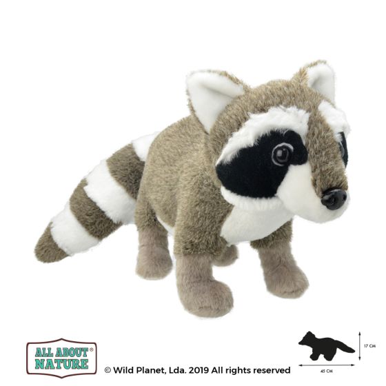 All About Nature Wild Planet - Soft Plush Age 0+ - RACOON 47cm - K8383