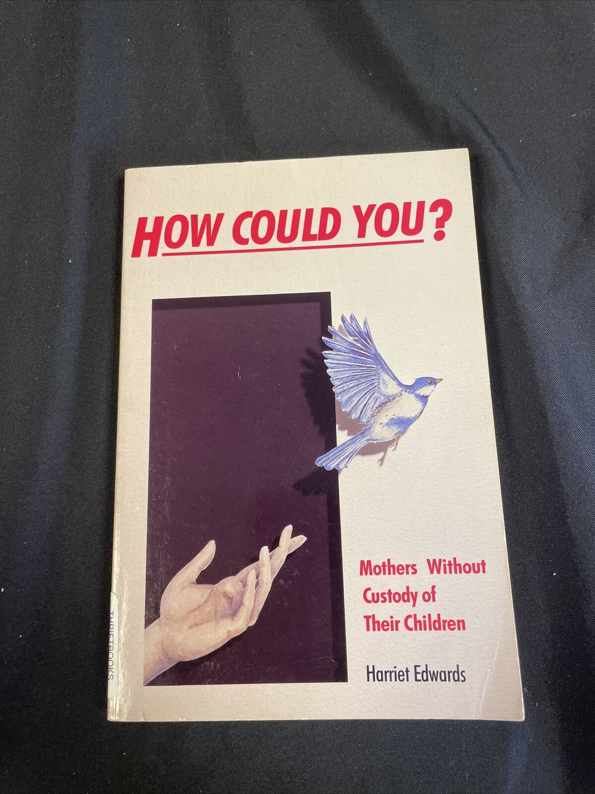 BOOK - How Could You? - Mothers without custody of their children - Edwards - (8200)