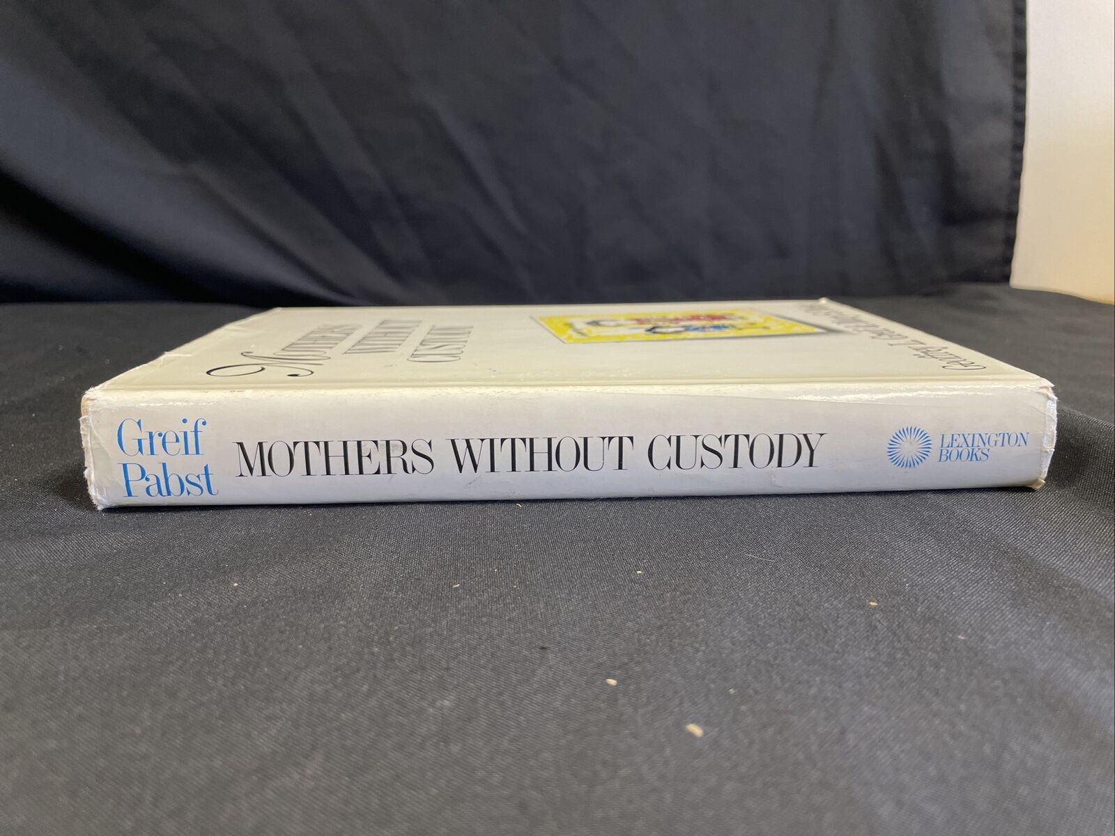 BOOK - Mothers Without Custody - Greif Pabst - (8201)