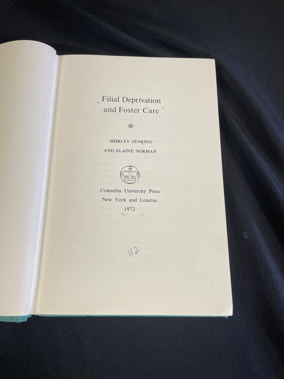 BOOK - Filial Deprication and Foster Care - Jenkins and Norman HB -(8190)