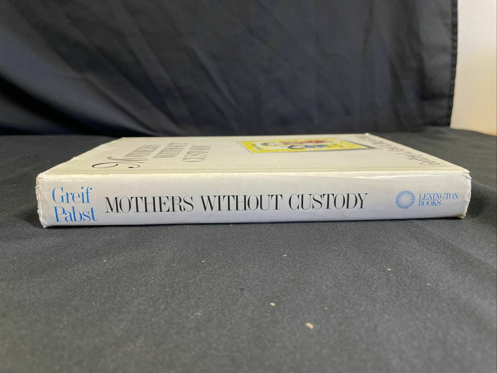 BOOK - Mothers Without Custody - Greif Pabst - (8201)