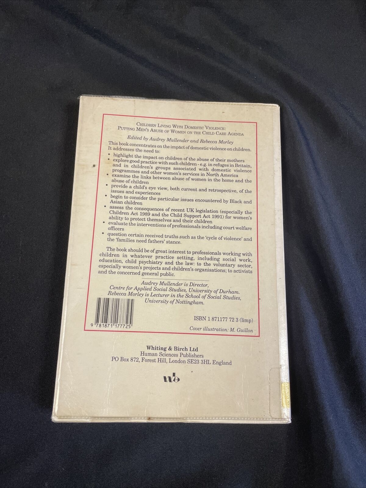 BOOK - Children Living With Domestic Violence - Mullender & Morley - (8211)
