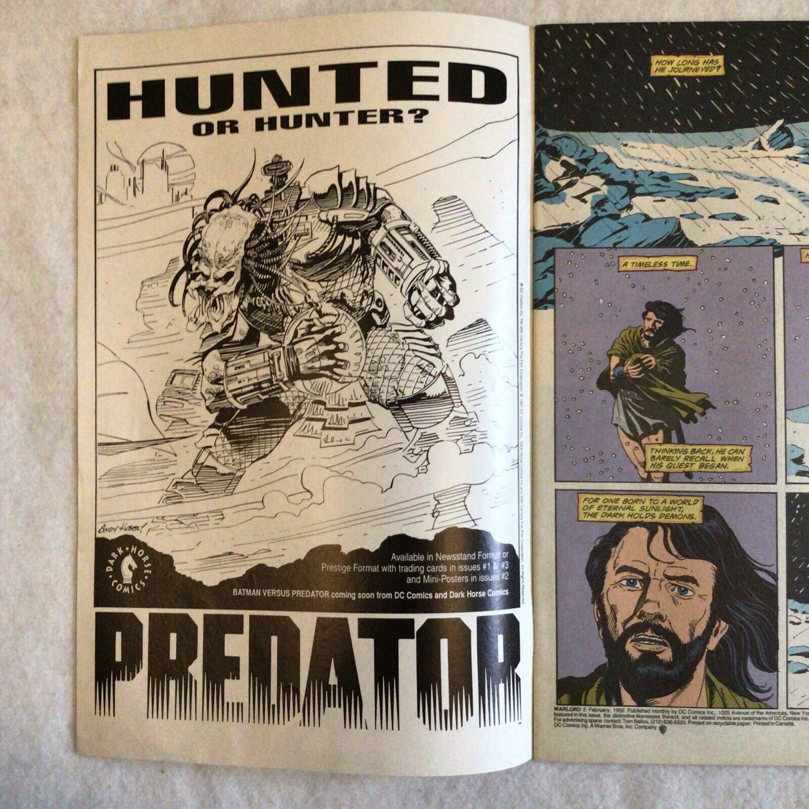 COMIC - DC Comics The WARLORD - Enter the lost world... - Feb 1992- (8851)