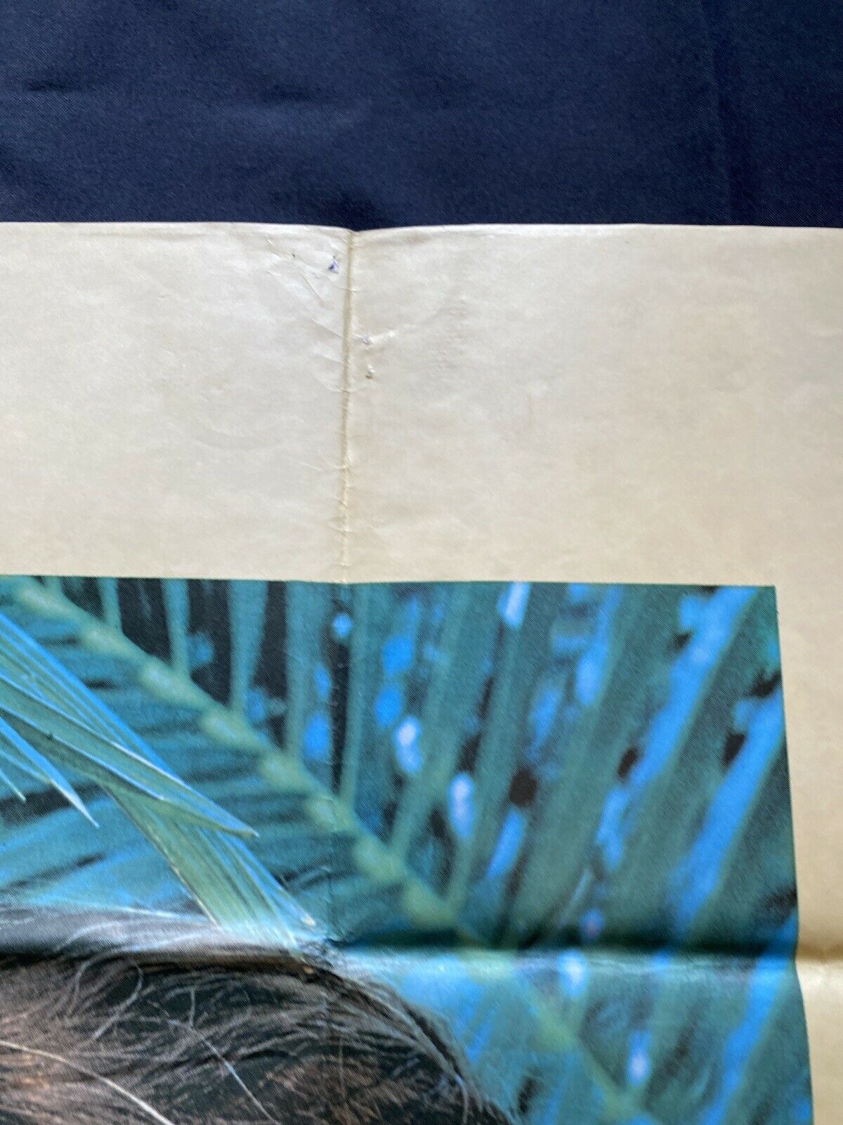 ORIGINAL UK QUAD POSTER - The Blue Lagoon 1980 -  30" x 40" - (6590)