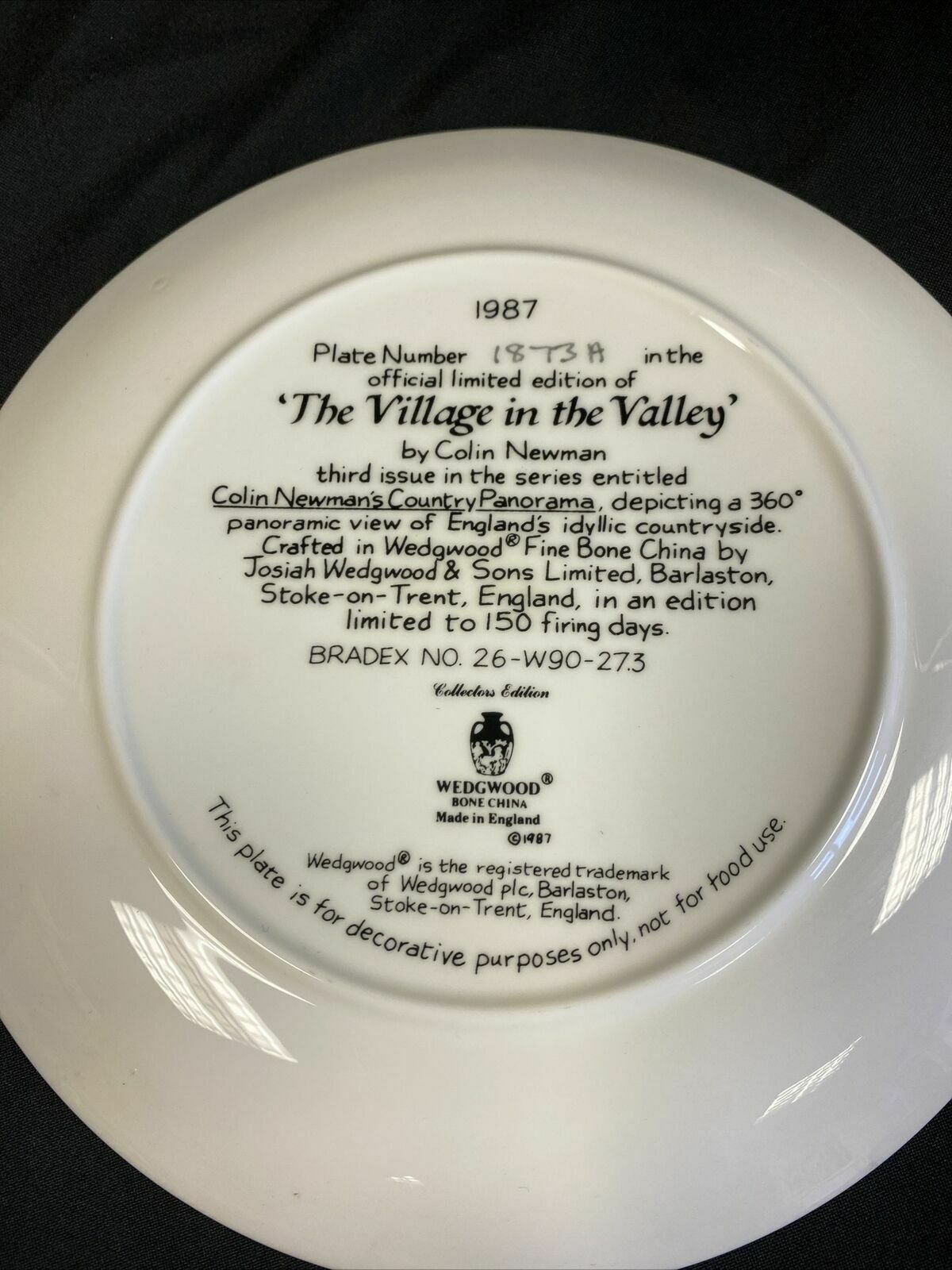 Wedgwood 1988 Collector plates x2 Meandering Stream + Village in Valley (7827