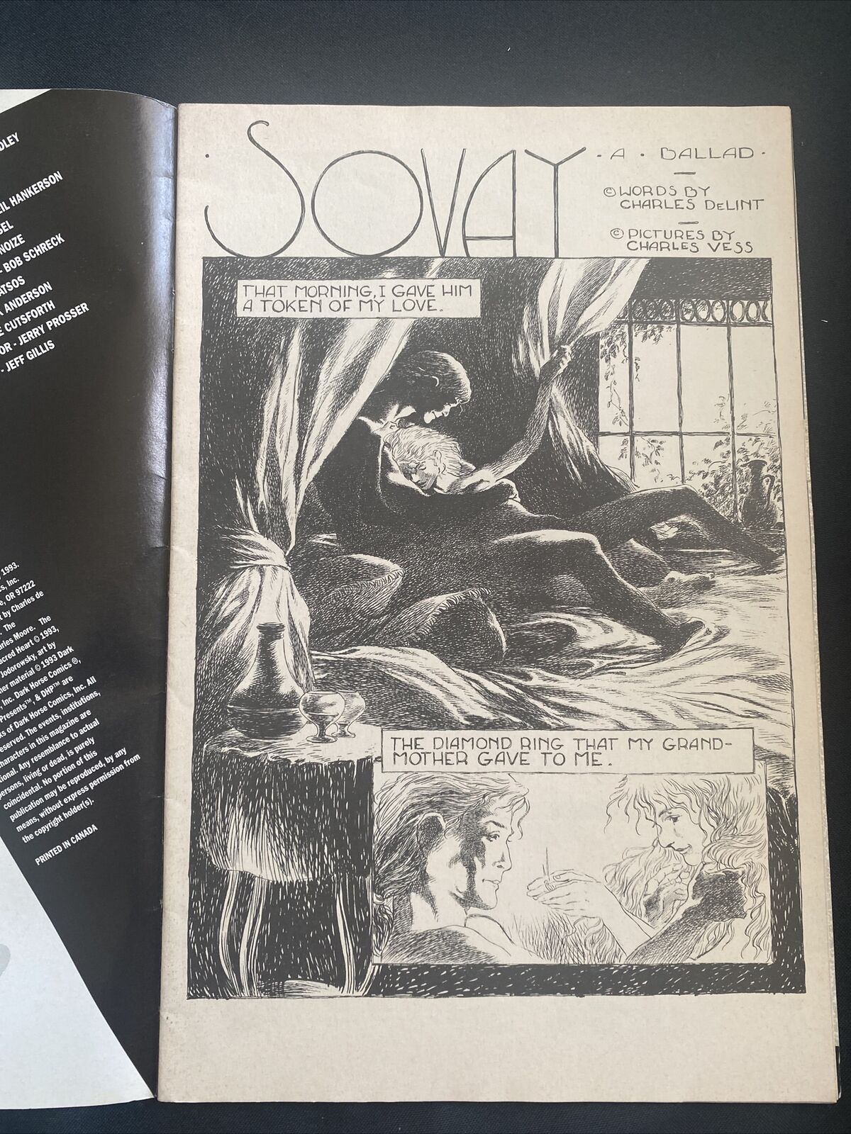 COMIC  - DARK HORSE Comics - Chairman Madwoman Sovay July 1993 - (8754)