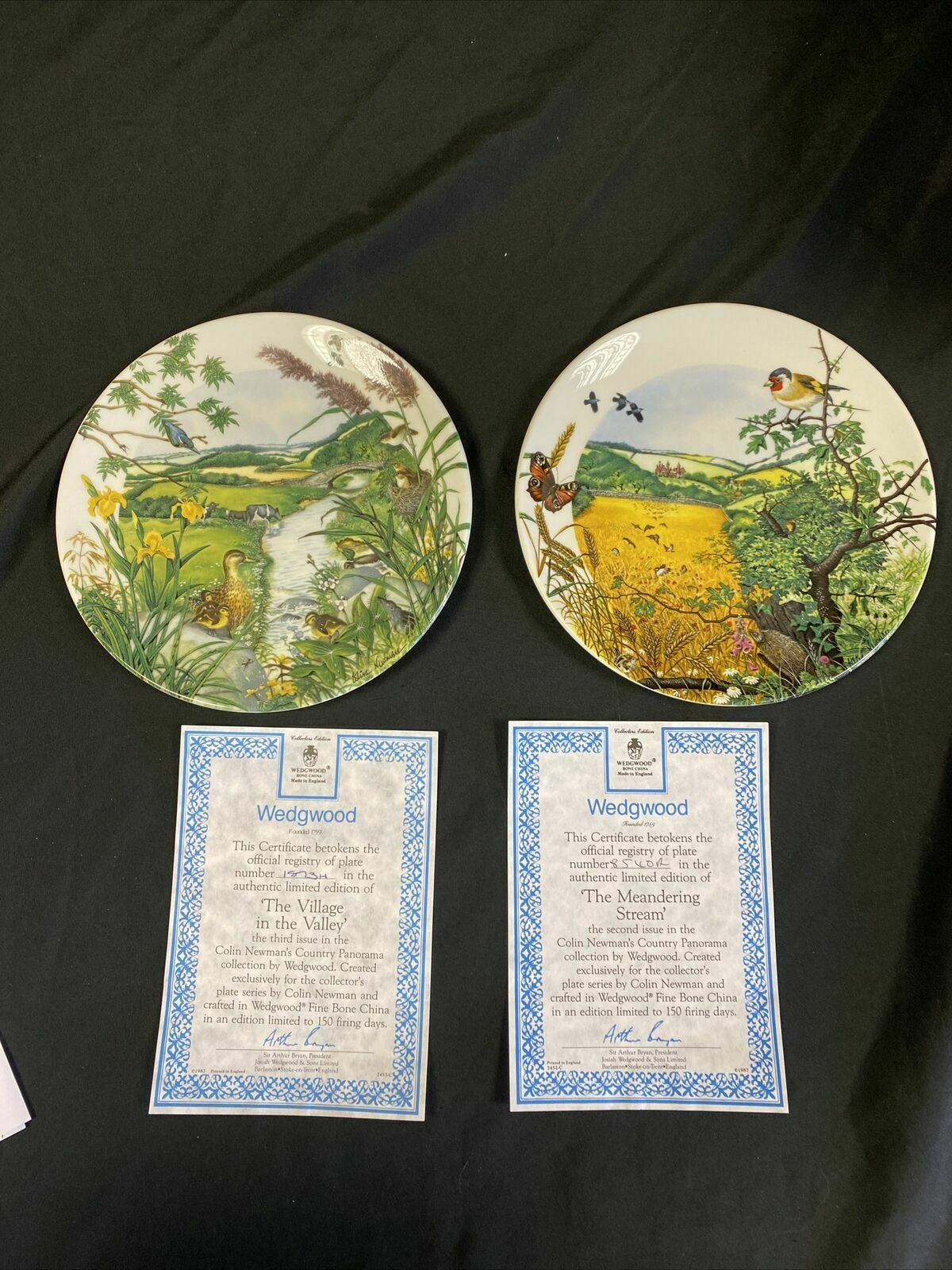 Wedgwood 1988 Collector plates x2 Meandering Stream + Village in Valley (7827
