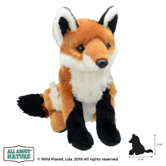 All About Nature Wild Planet - Soft Plush Age 0+ - FOX 27cm - K8349