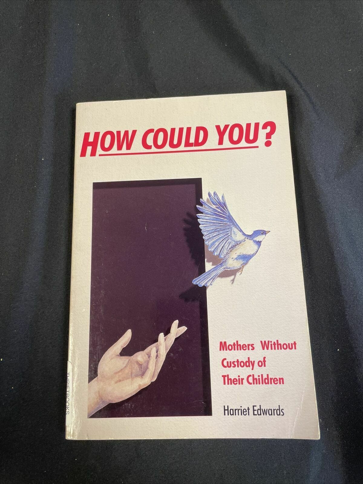 BOOK - How Could You? - Mothers without custody of their children - Edwards - (8200)