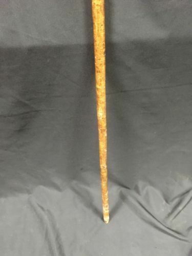 Antique Victorian Wood Walking stick horn tip gold filled collar knob end -(6619