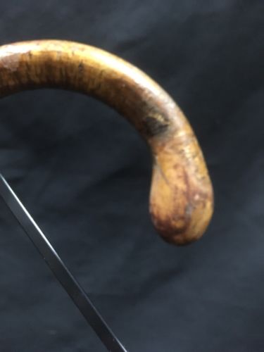 Antique Victorian Wood Walking stick horn tip gold filled collar knob end -(6619