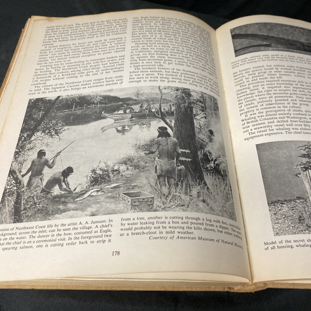 Book - LA FARGE, OLIVER, A Pictorial History of the American Indian 1956 1st Ed (1518)