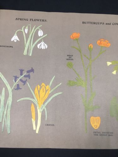 Artistic Handwork Paper & Cardboard Pt 1 Paper Cutting Book Rowland 1930's (2876
