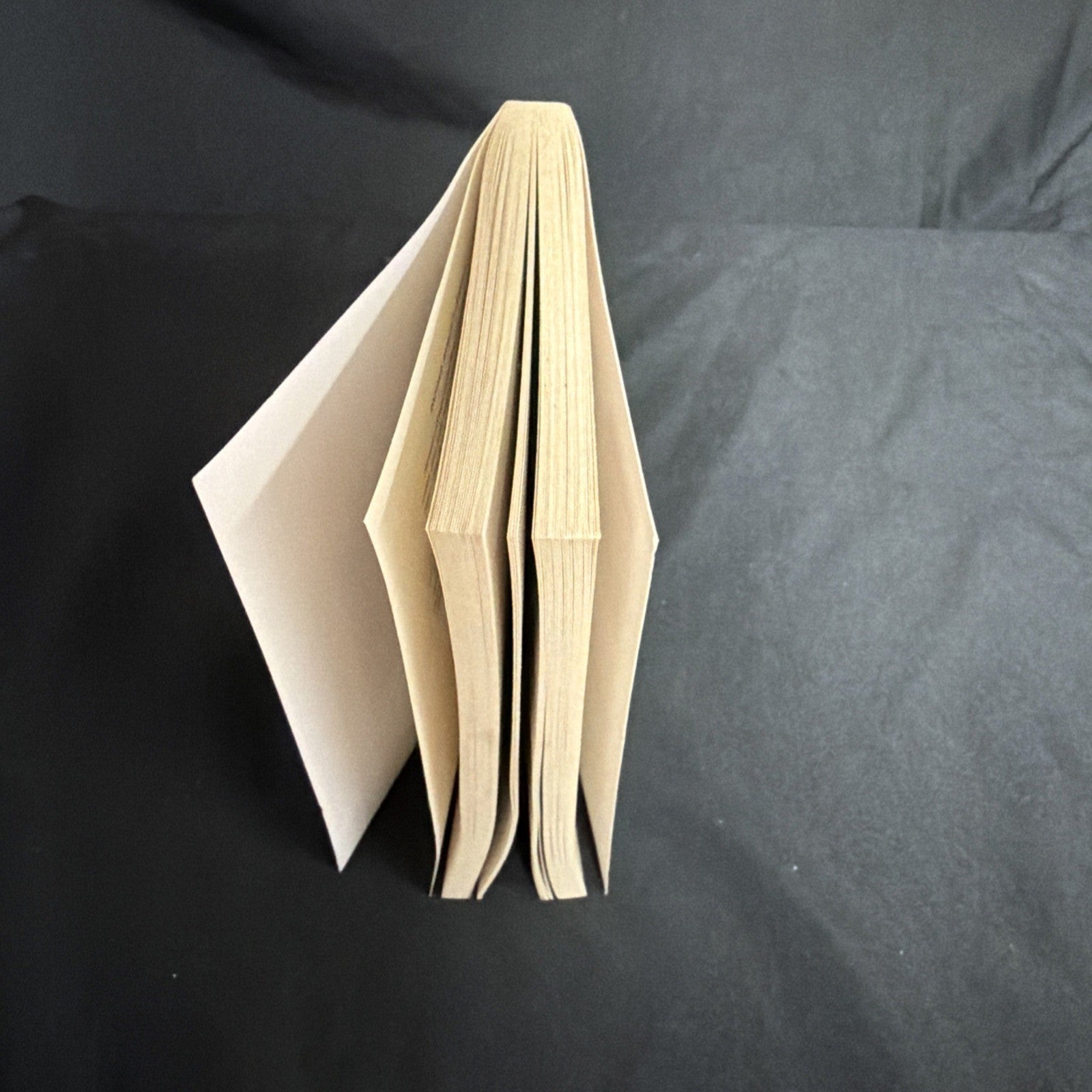 Book, James Hogg, The Private Memoirs and confessions of a Justified Sinner -  (2358)