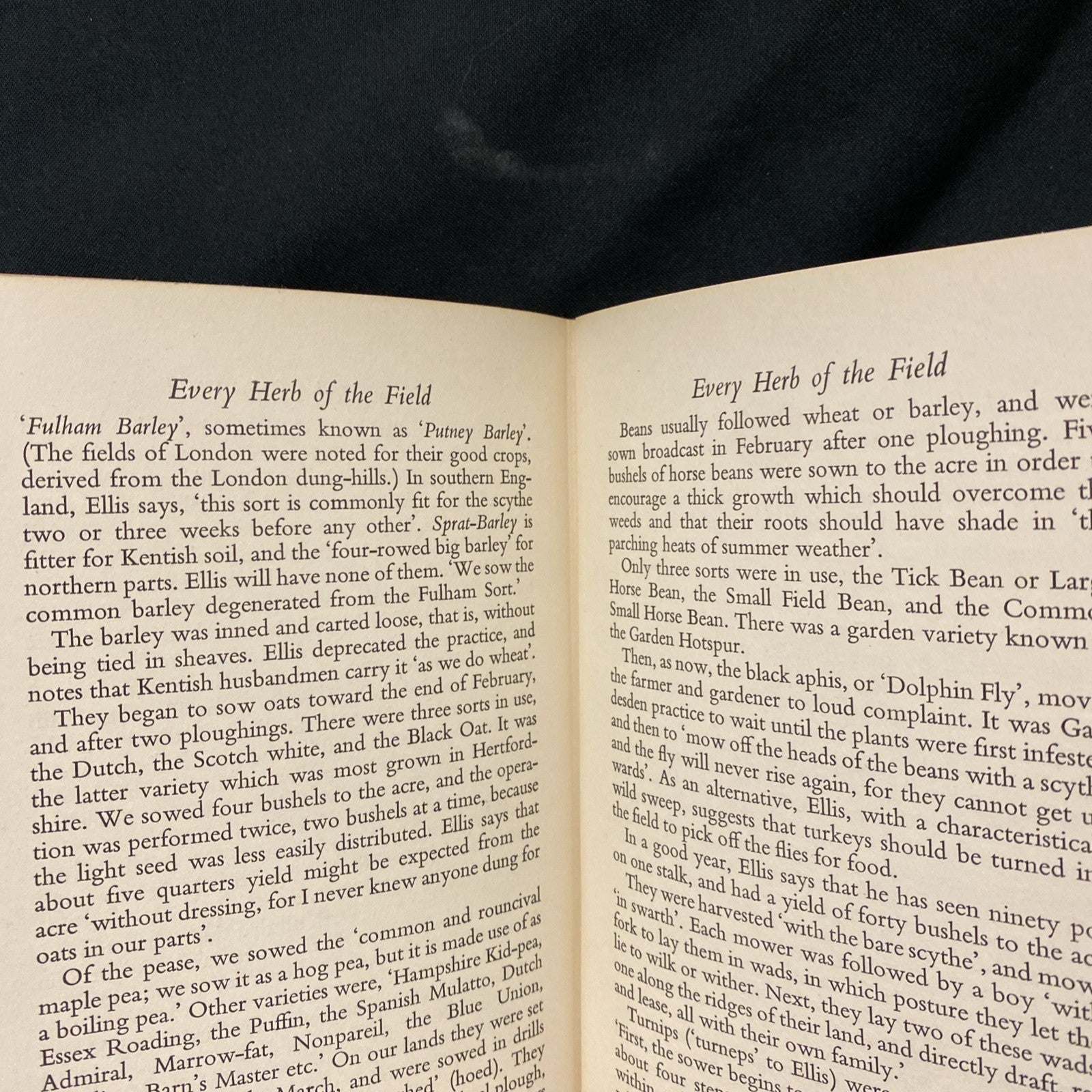 Book - To Meet Mr Ellis by Vicars Bell - (1551)