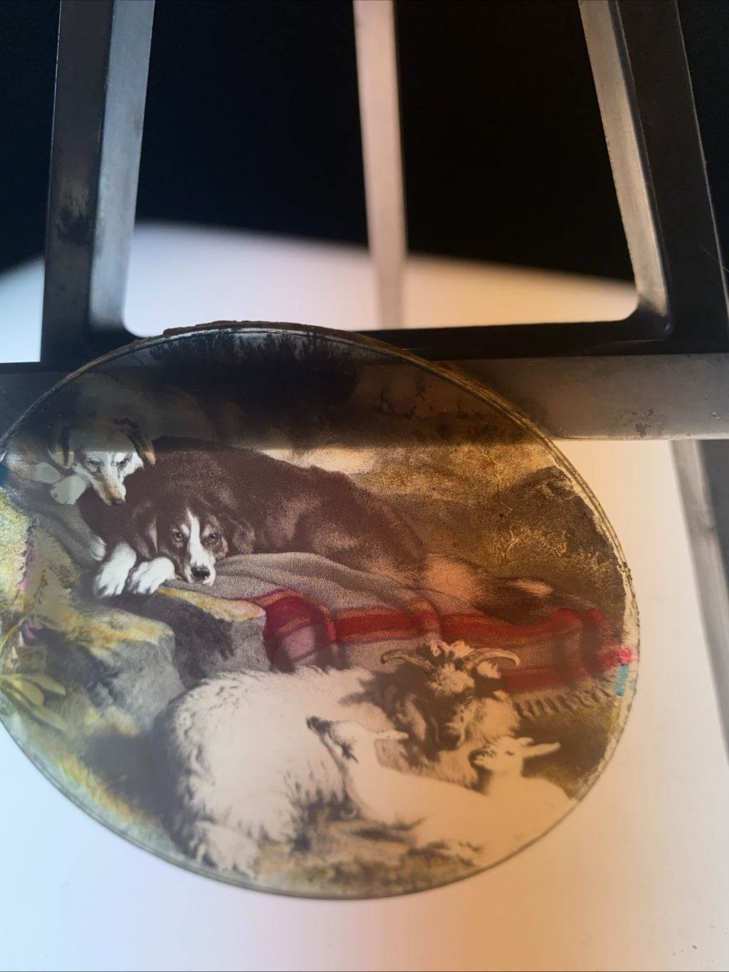 Magic Lantern Victorian Glass Round Handpainted Slide Dogs watching sheep (1172)