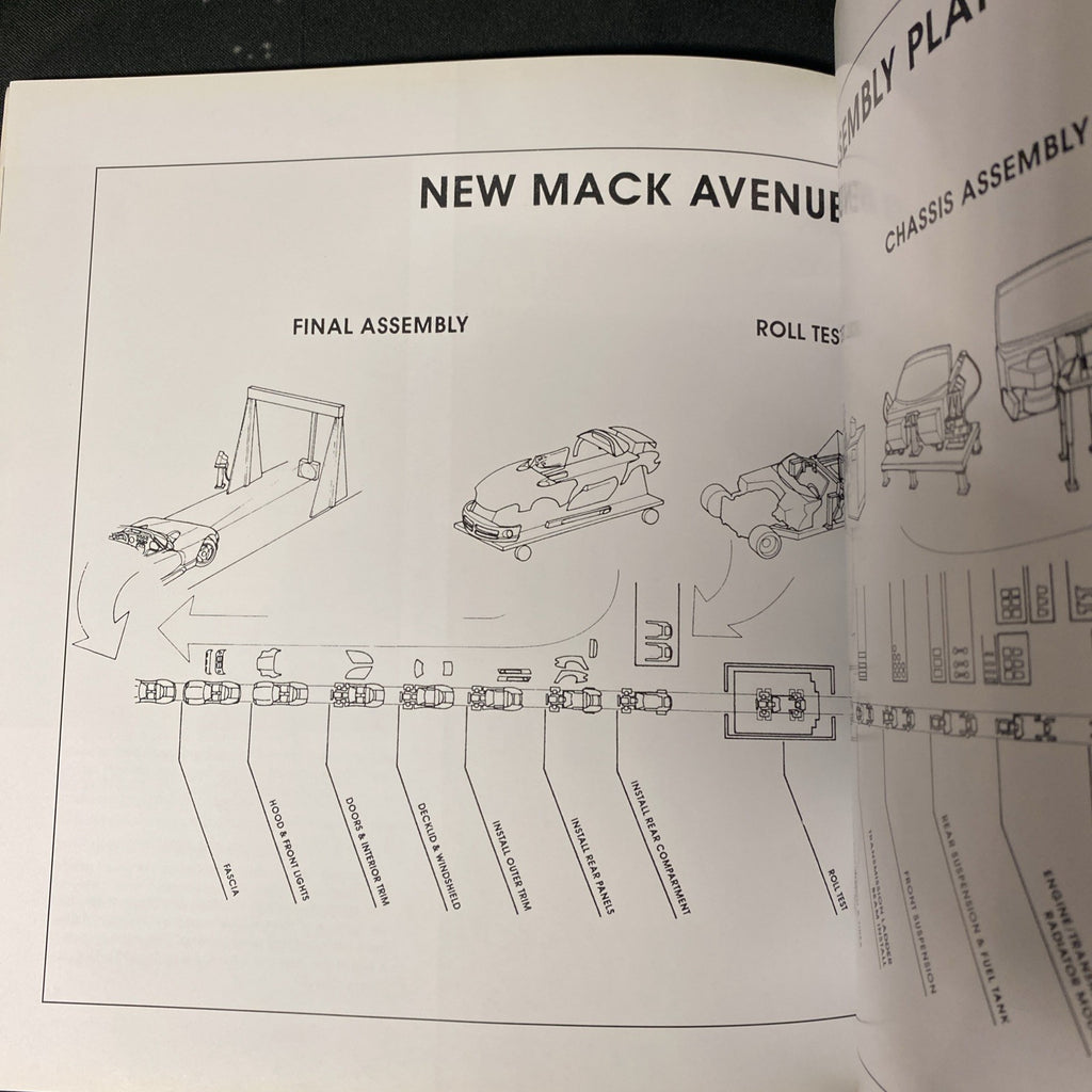 The Viper - Matt Stone - Viper Car Book 2003 - (1399)