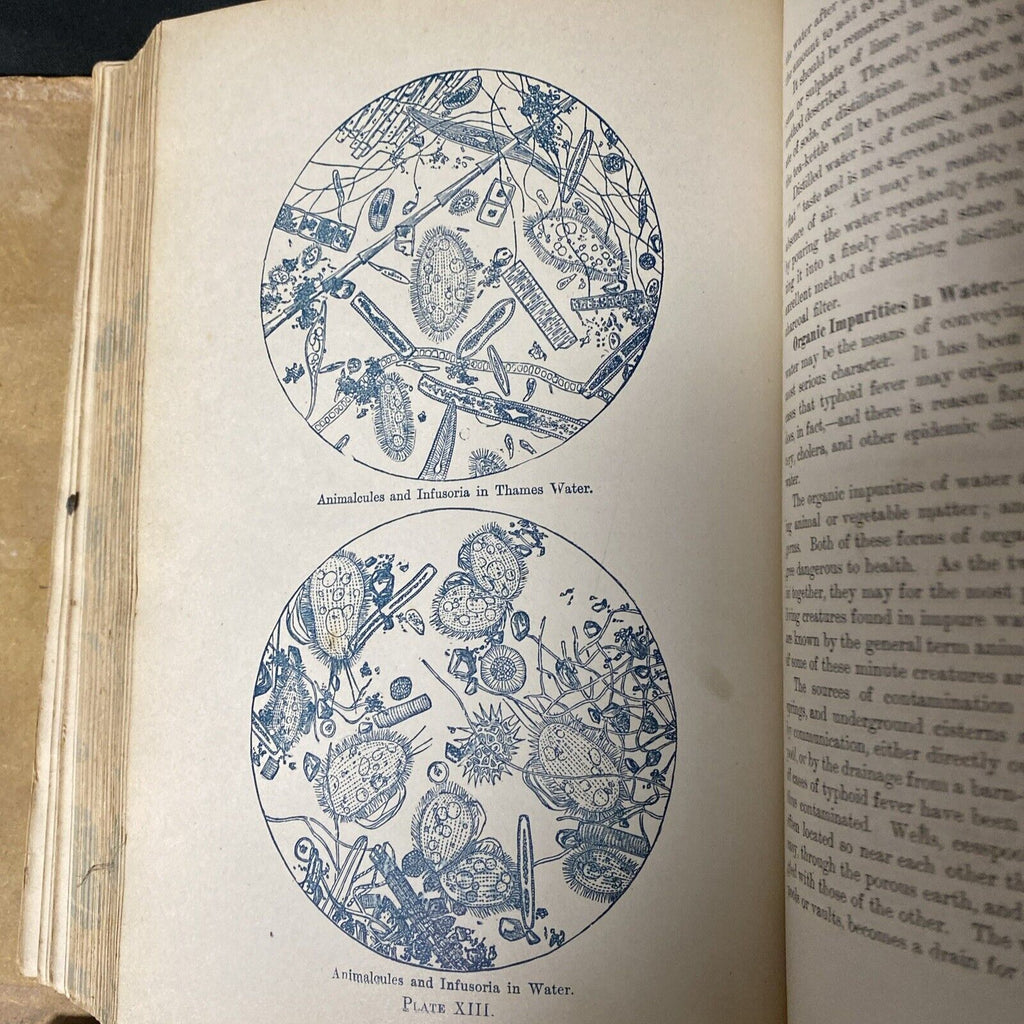 Kellogg THE HOME HAND-BOOK OF DOMESTIC HYGIENE & RATIONAL MEDICINE 1902 (5272)