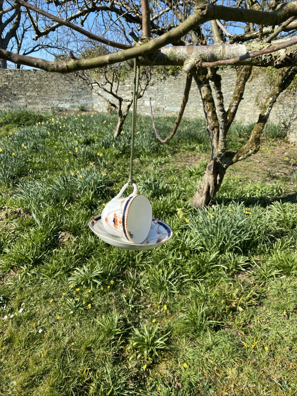 Vintage Bone China Tea Cup and Saucer Bird Feeder Gift Design Varies - (1046)