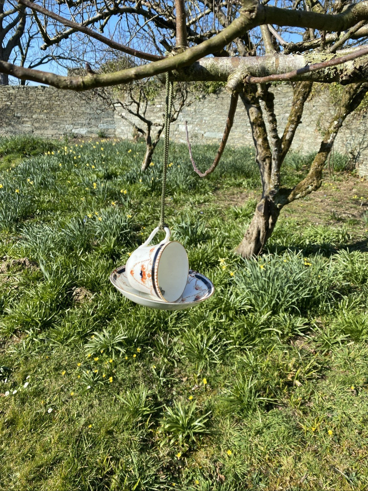 Vintage Bone China Tea Cup and Saucer Bird Feeder Gift Design Varies - (1046)