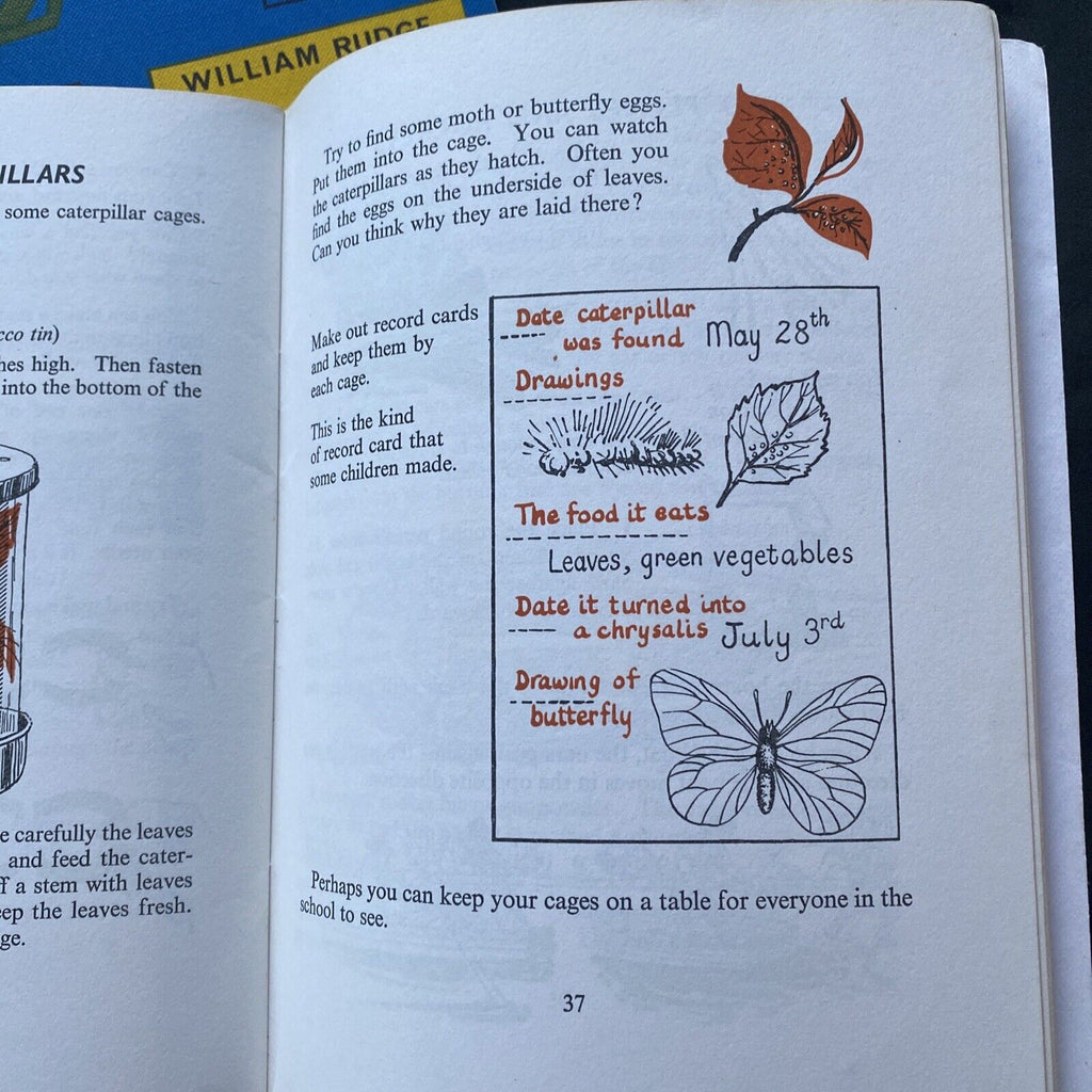 Let's Explore Science William Rudge 1970 set of three books - (9599)