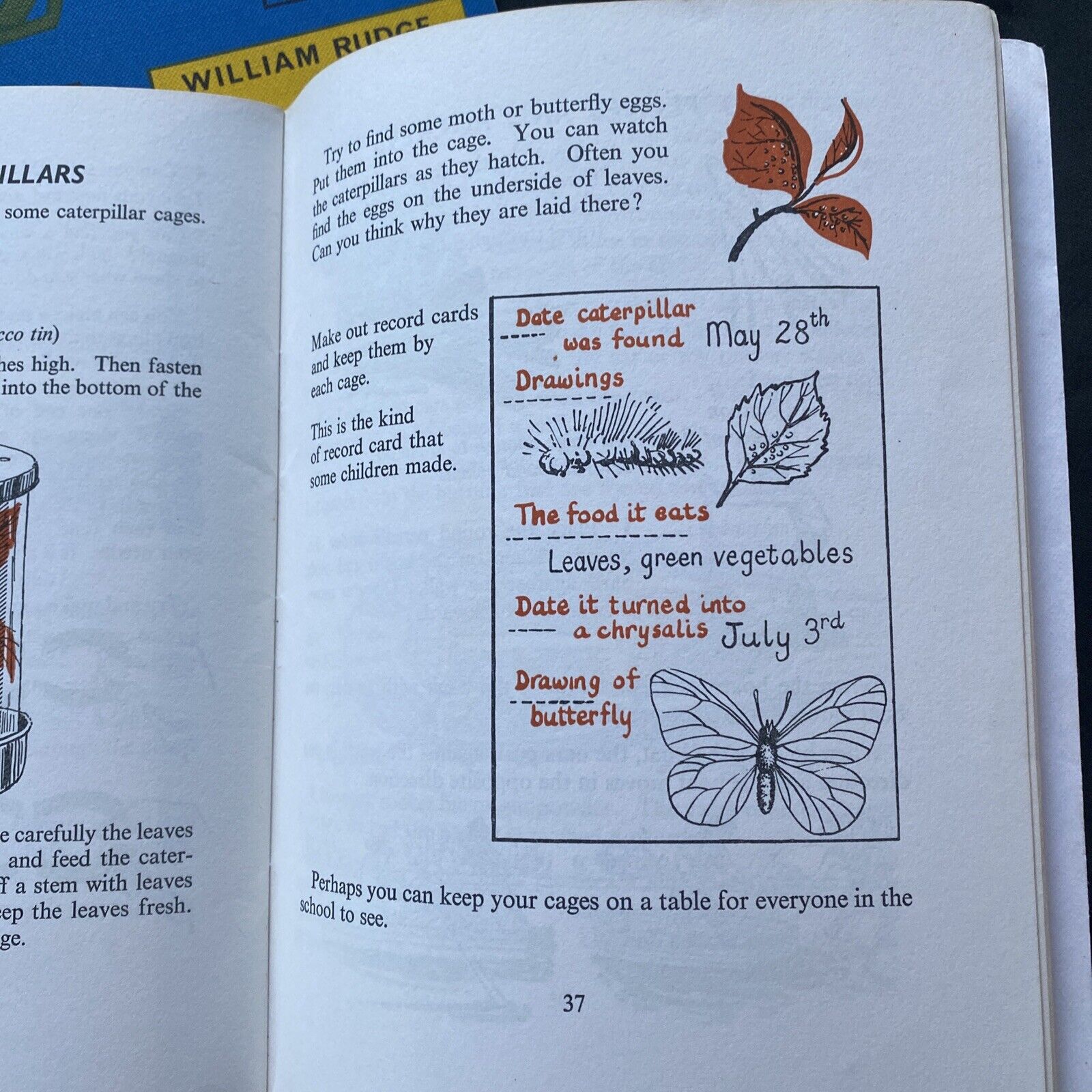 Let's Explore Science William Rudge 1970 set of three books - (9599)