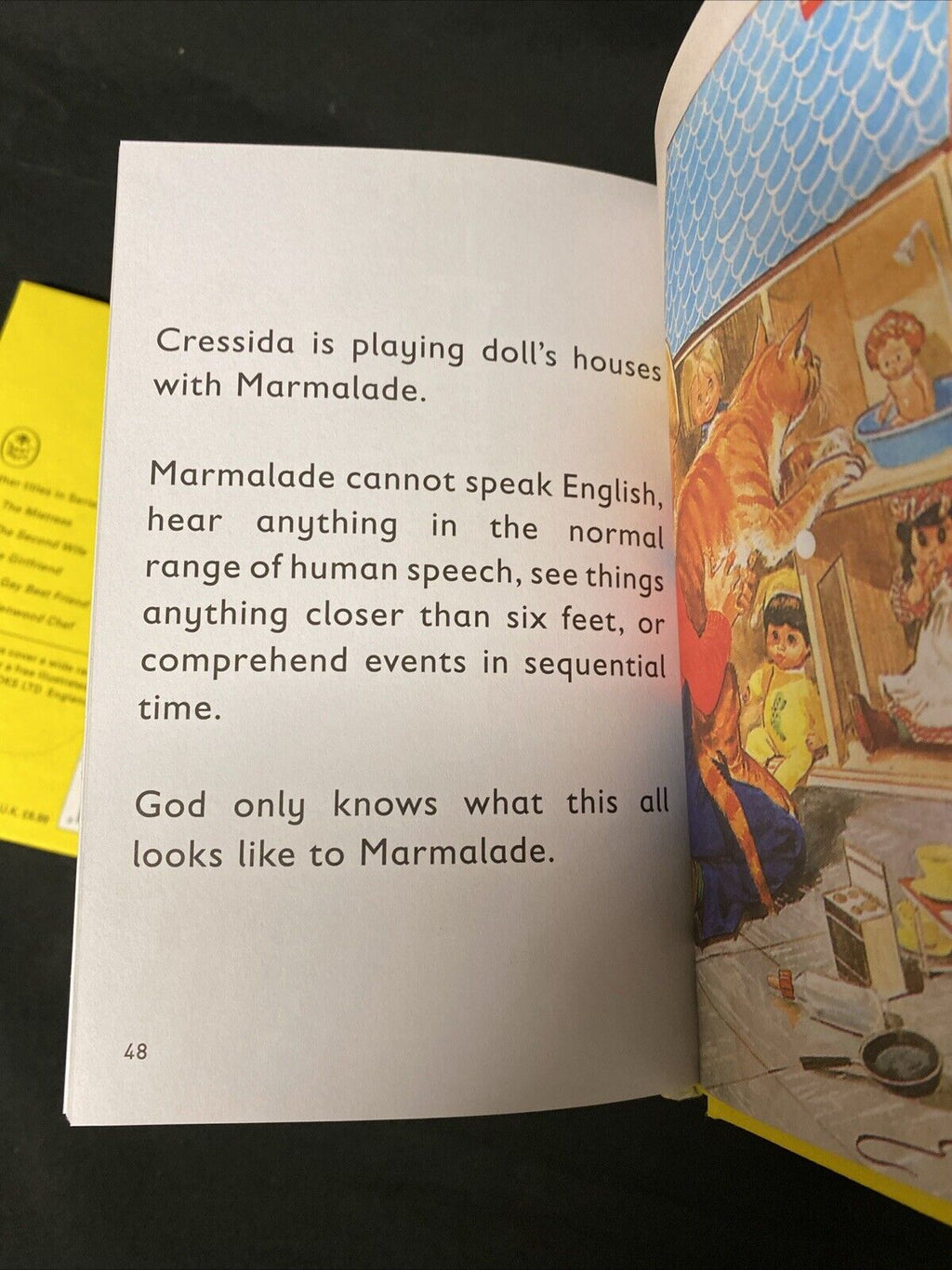 3 x The Ladybird Book - The Cat / Husband / Wife (Ladybird for Grown-Ups) (5648)
