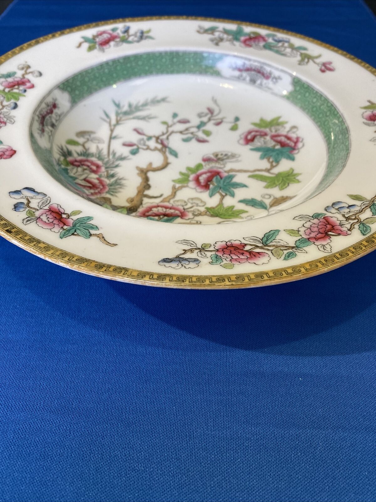 Spode Copeland's China Indian Tree 25cm Large Rim Soup Bowl - (8506)