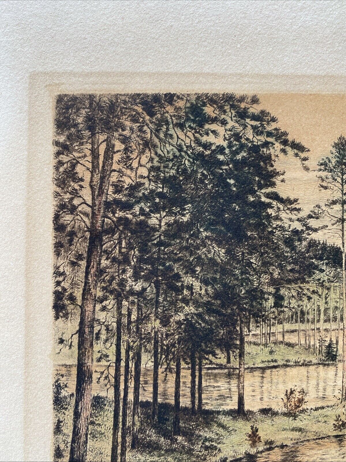 Prof. A Thalberg #7/10 Forest by a Lake Original Coloured etching - (5859)