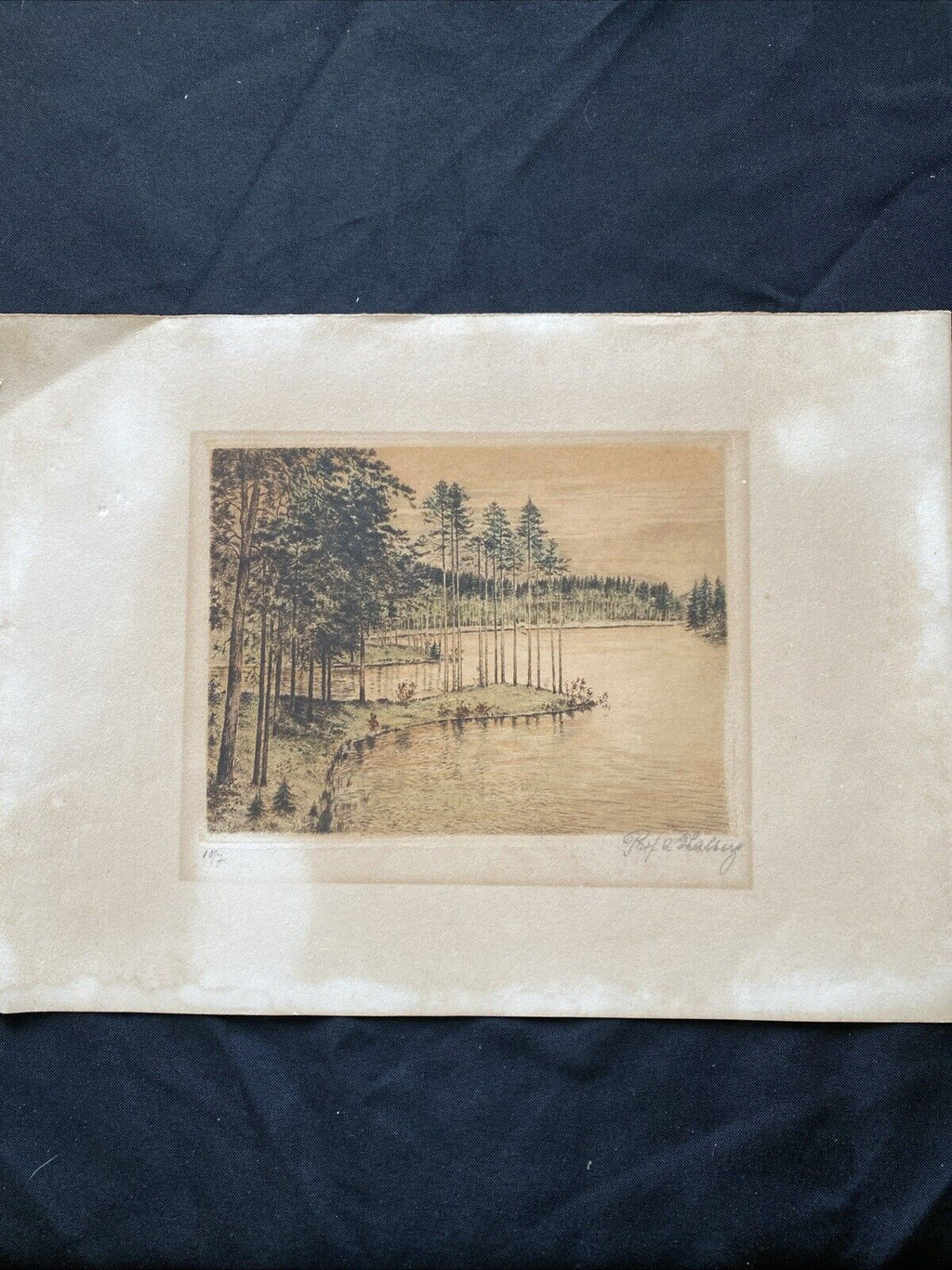 Prof. A Thalberg #7/10 Forest by a Lake Original Coloured etching - (5859)