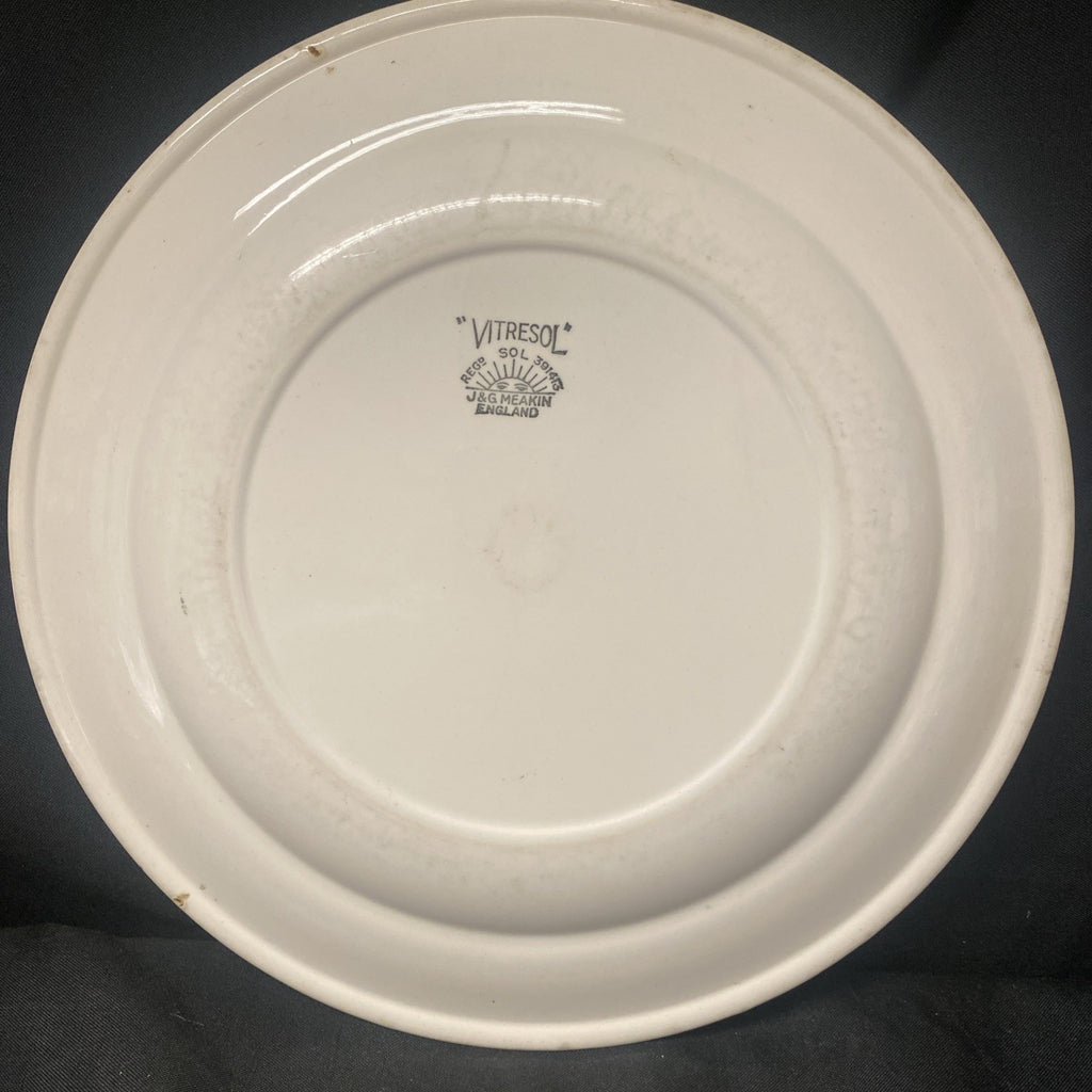 J&G Meakin england Ironstone Vitresol Plate Reg D. 391413 10" - (1721)