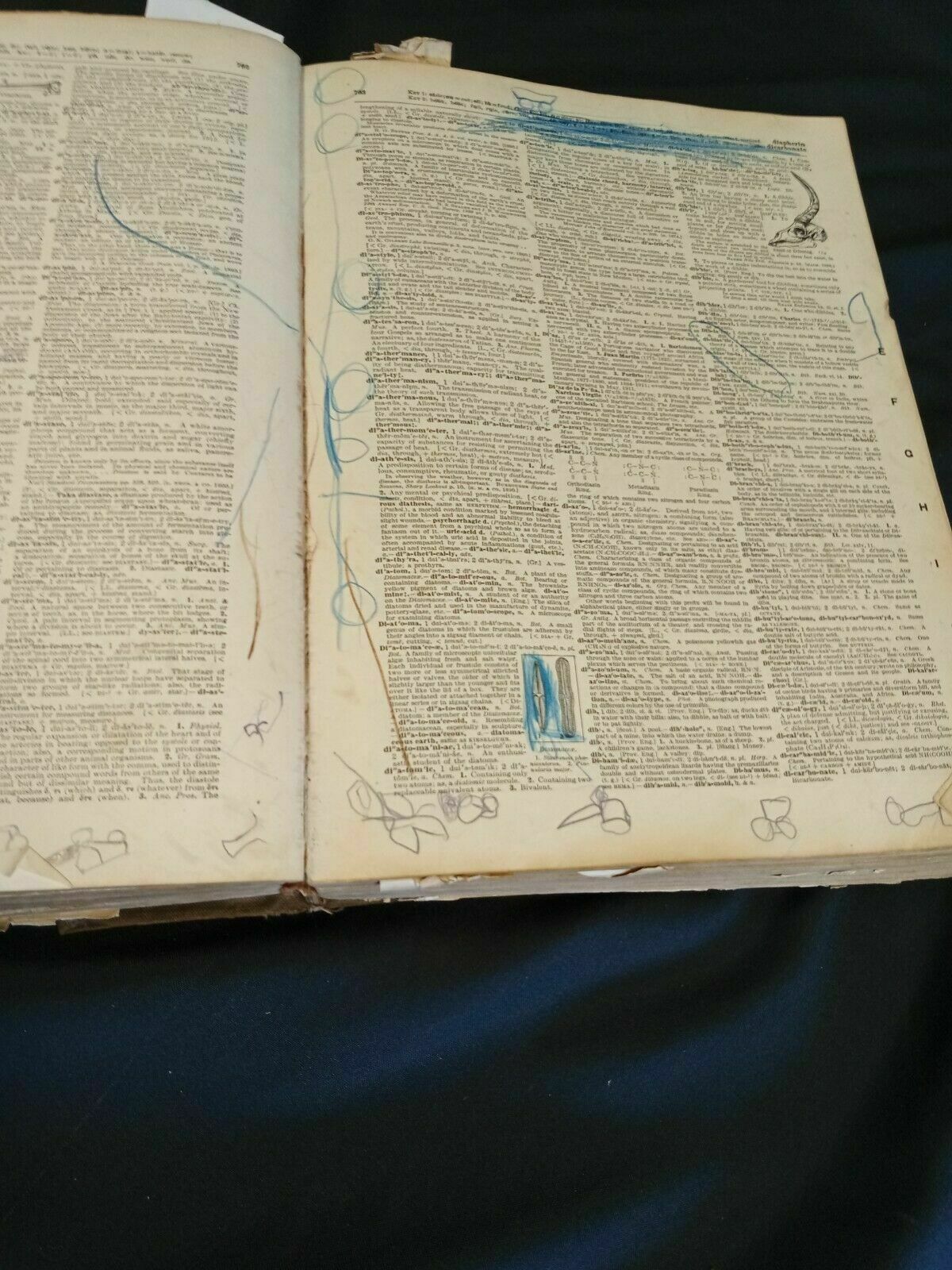 The New Standard English Dictionary M-Z Pre 1920 Waverley -(7842)