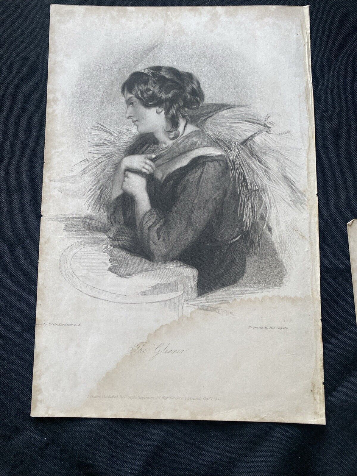 Victorian Regency Engraving x5 Gleaner, Bride, Student, Nun, Widow 1841 - (5302)