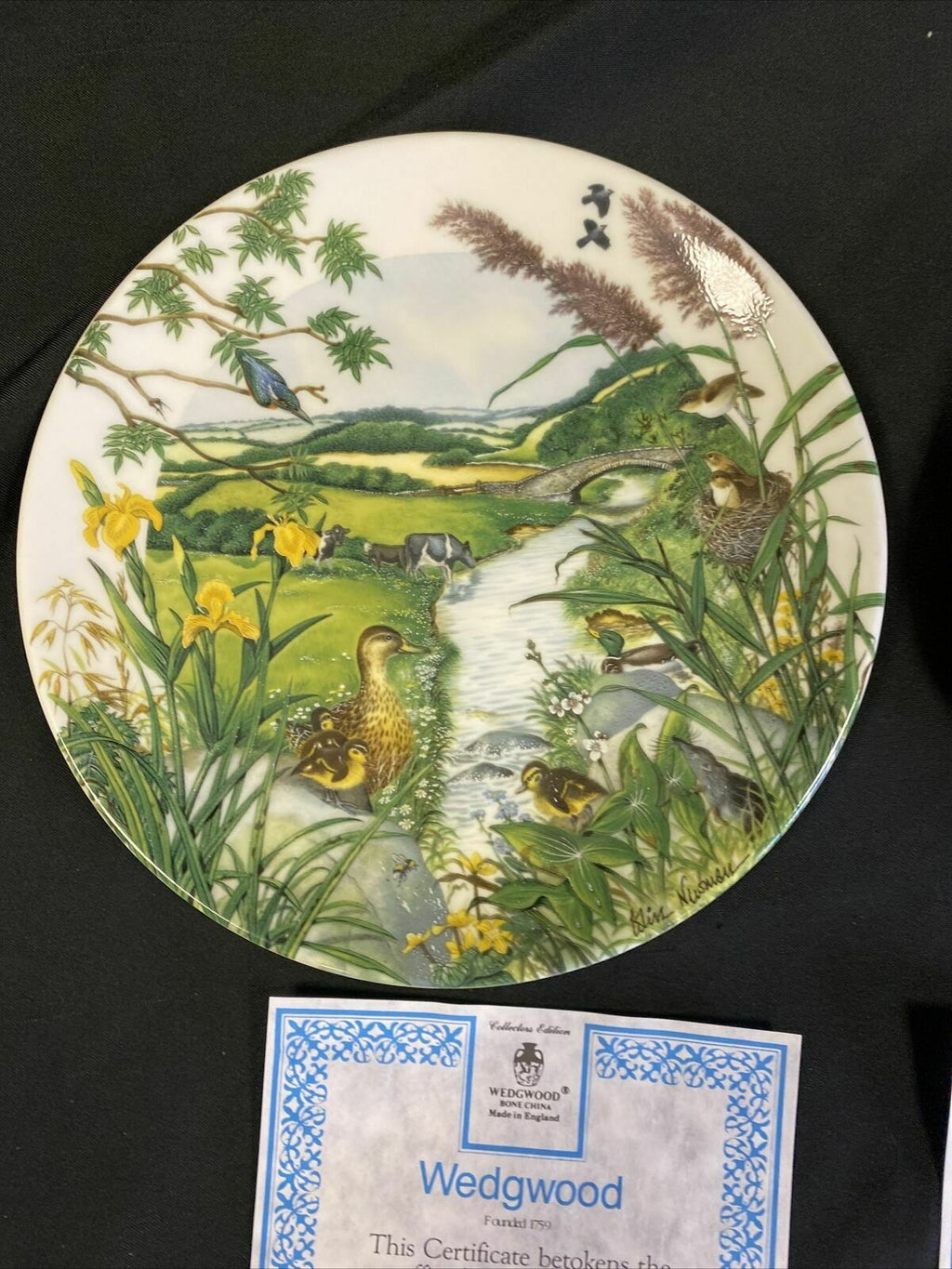 Wedgwood 1988 Collector plates x2 Meandering Stream + Village in Valley (7827