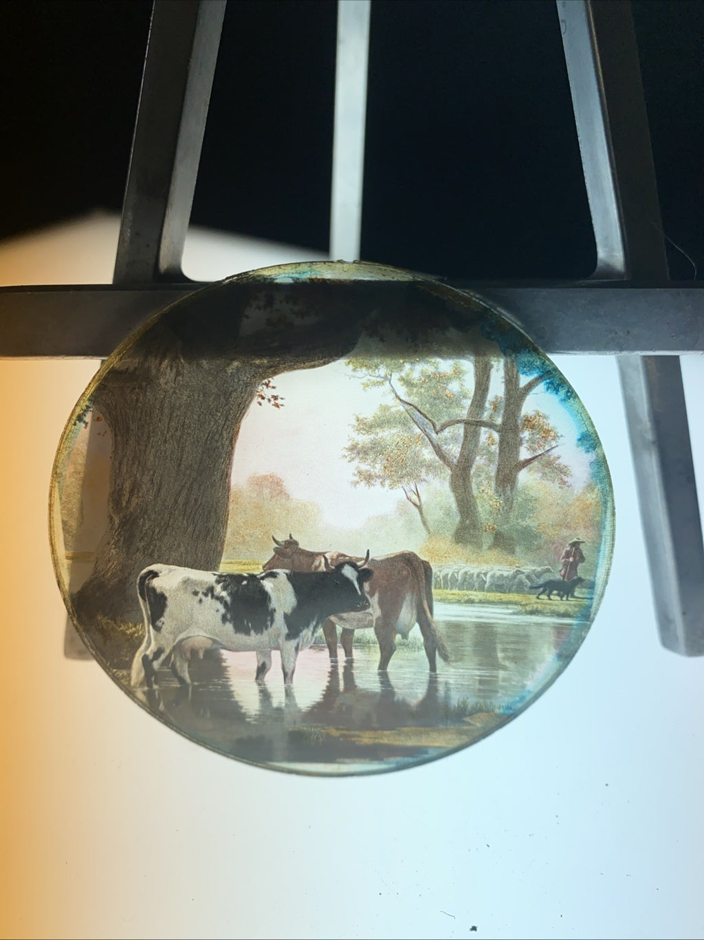 Magic Lantern Victorian Glass Round Handpainted Slide Cows in a stream (1151)