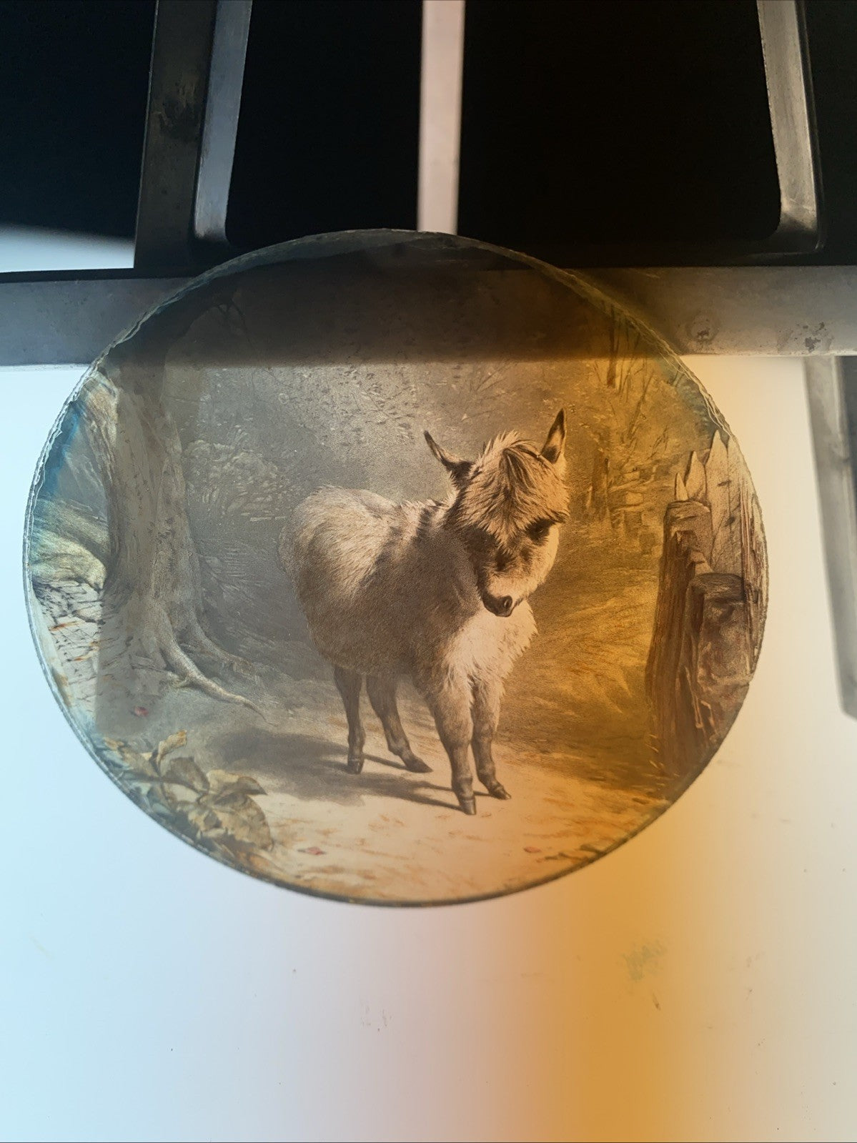 Magic Lantern Victorian Glass Round Handpainted Slide Donkey in the Woods (1125)
