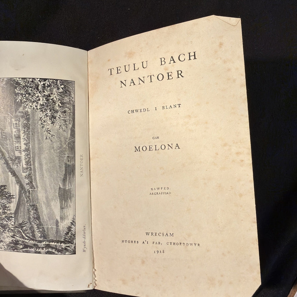 Teulu Bach Nantoer, L.M. Owen, Moelona - Welsh Language book - (1866)