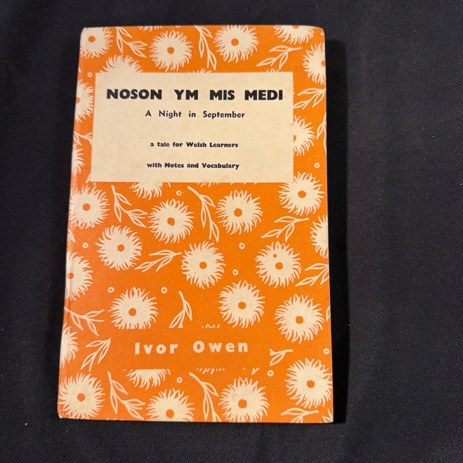 Noson Ym Mis Medi, Ivor Owen, A tale for welsh learners - Welsh Language book - (1874)