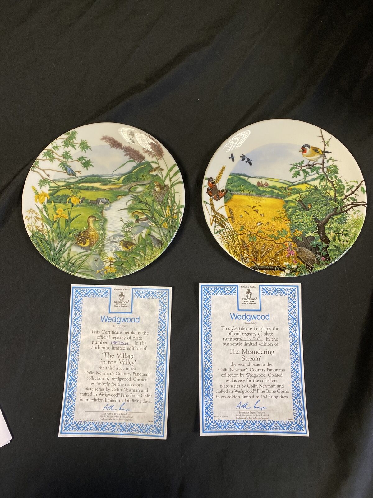 Wedgwood 1988 Collector plates x2 Meandering Stream + Village in Valley (7827