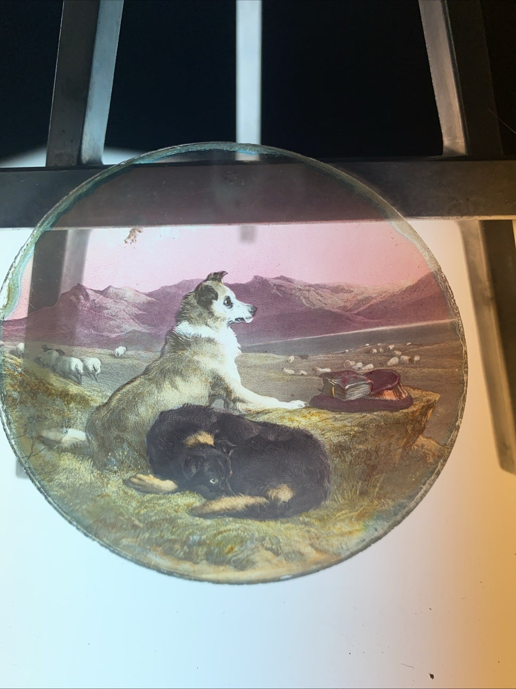 Magic Lantern Victorian Glass Round Handpainted Slide Two Dogs together (1149)