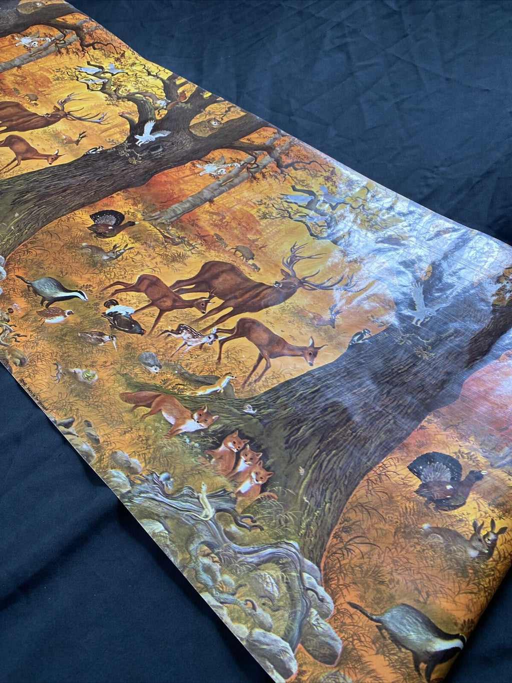 Vintage Roll of Glossy STEWO Printed wrapping drawer lining paper 4mtrs -(9552)