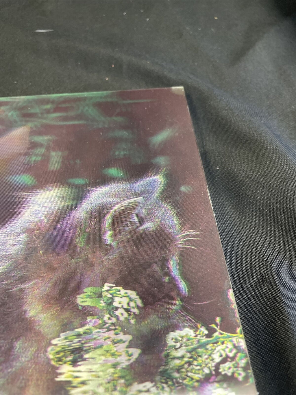 Vintage lenticular Kittens on a log on a hard board backing 39cm x 29cm - (8145)