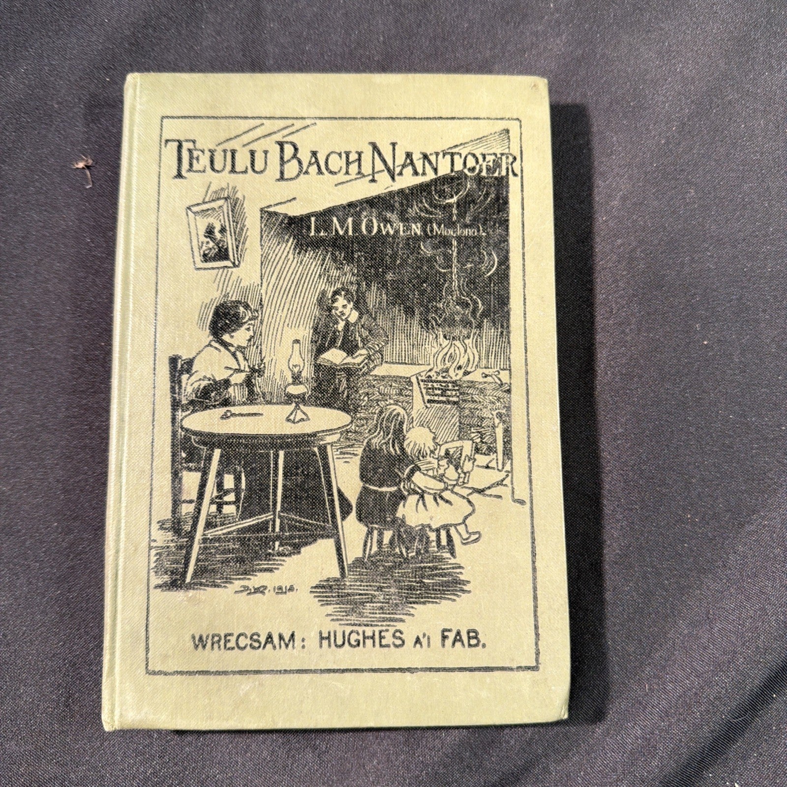 Teulu Bach Nantoer, L.M. Owen, Moelona - Welsh Language book - (1866)