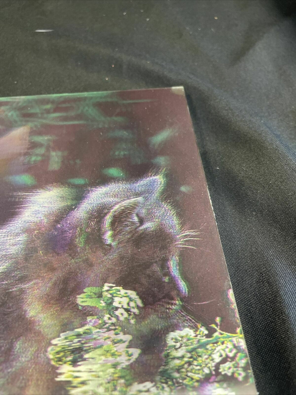 Vintage lenticular Kittens on a log on a hard board backing 39cm x 29cm - (8145)